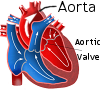 Heart illustration / Exercise #4 (link: enlarged 450x450 illustration @ www.ghs.org)