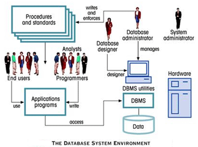 DBMS Environment
